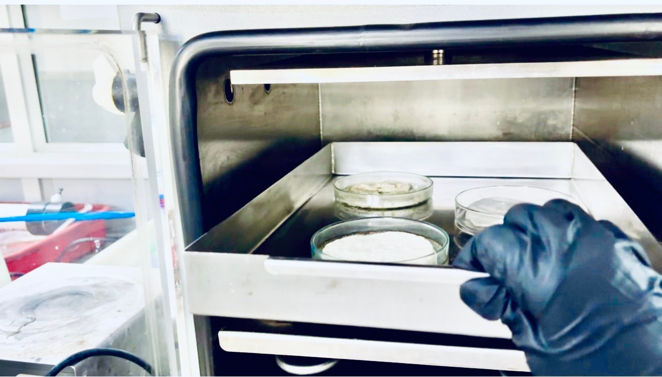 Biomaterial Engineering